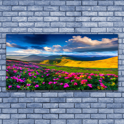 Fototryck canvas Ängsblommor Naturväxt