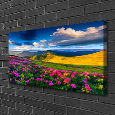 Fototryck canvas Ängsblommor Naturväxt