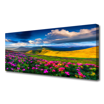 Fototryck canvas Ängsblommor Naturväxt