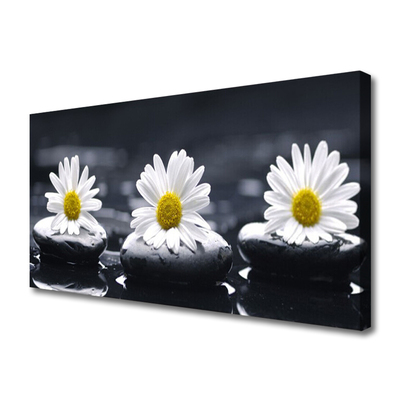 Canvas bild Daisy Stones Plant