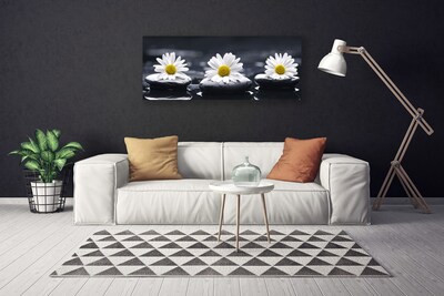 Canvas bild Daisy Stones Plant