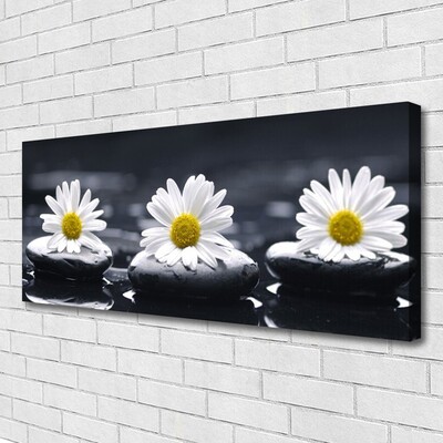 Canvas bild Daisy Stones Plant