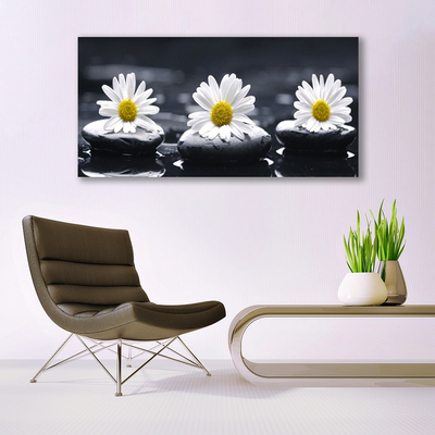 Canvas bild Daisy Stones Plant