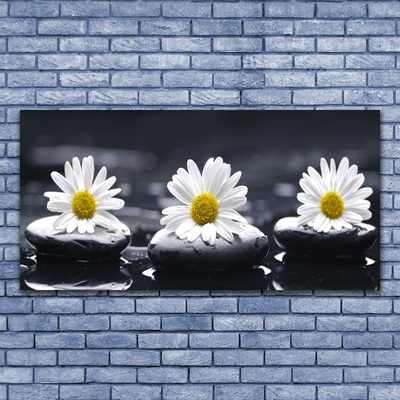 Canvas bild Daisy Stones Plant