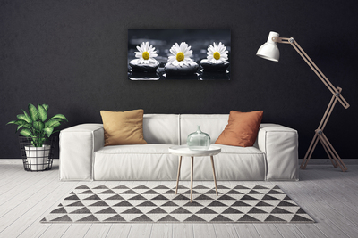 Canvas bild Daisy Stones Plant