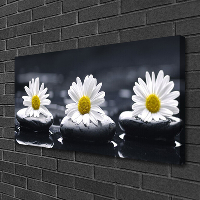 Canvas bild Daisy Stones Plant