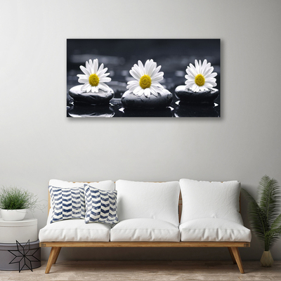 Canvas bild Daisy Stones Plant