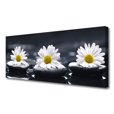 Canvas bild Daisy Stones Plant