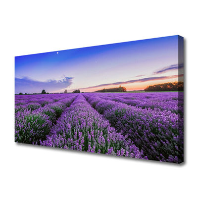 Canvas bild Ängsblommor Naturväxt