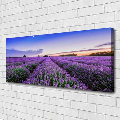 Canvas bild Ängsblommor Naturväxt