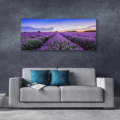 Canvas bild Ängsblommor Naturväxt