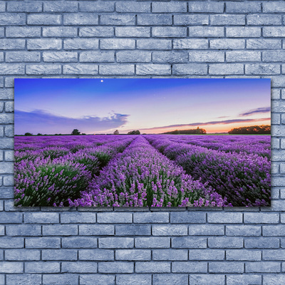 Canvas bild Ängsblommor Naturväxt