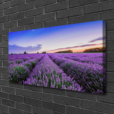 Canvas bild Ängsblommor Naturväxt