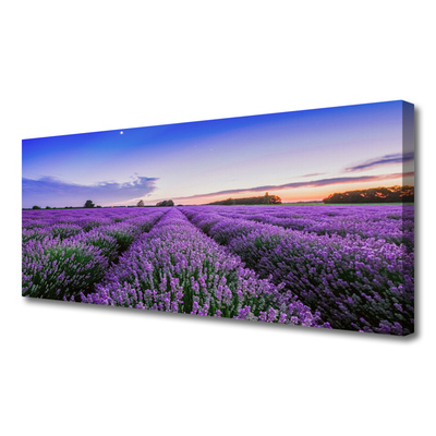 Canvas bild Ängsblommor Naturväxt