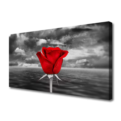 Canvas bild Rose Flower Plant Sea