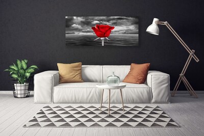 Canvas bild Rose Flower Plant Sea