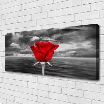 Canvas bild Rose Flower Plant Sea