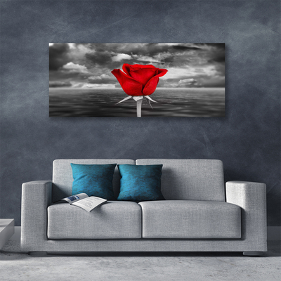 Canvas bild Rose Flower Plant Sea