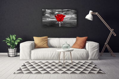 Canvas bild Rose Flower Plant Sea