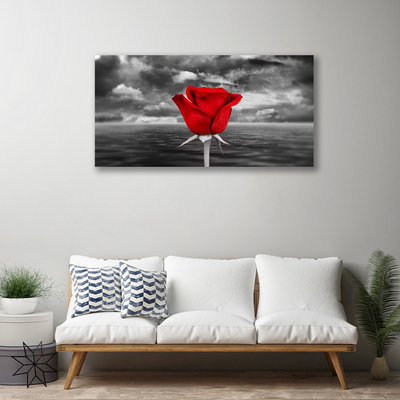 Canvas bild Rose Flower Plant Sea