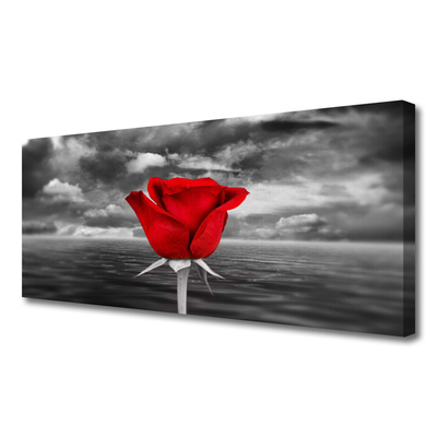 Canvas bild Rose Flower Plant Sea