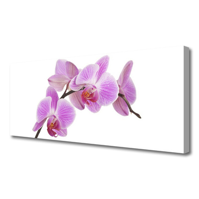 Fototryck canvas Blommor Växtnatur