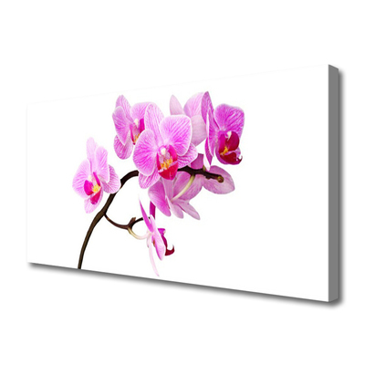 Fototryck canvas Blommor Växtnatur