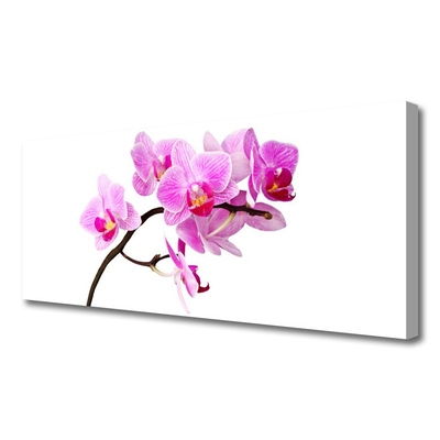 Fototryck canvas Blommor Växtnatur