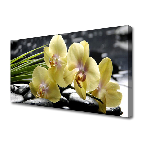 Bild canvas Blommor Växtnatur