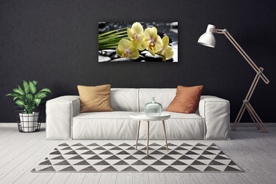 Bild canvas Blommor Växtnatur