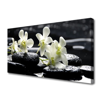 Foto till canvastavla Orchid Stones Plant