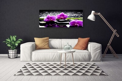 Canvas bild Blomma orkidéväxt