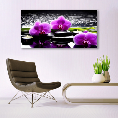 Canvas bild Blomma orkidéväxt