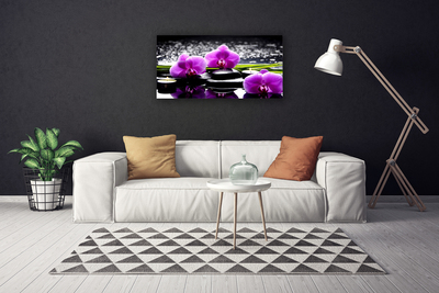 Canvas bild Blomma orkidéväxt