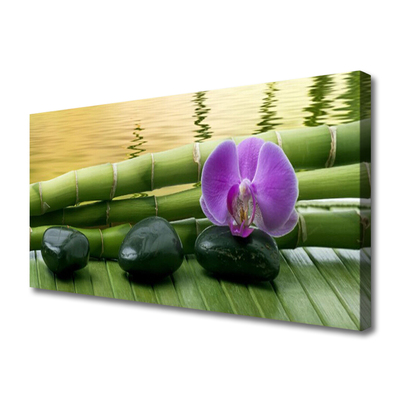 Bild på canvas Blomstenar Bambu Natur