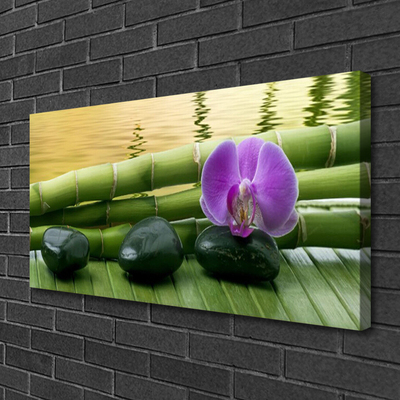 Bild på canvas Blomstenar Bambu Natur