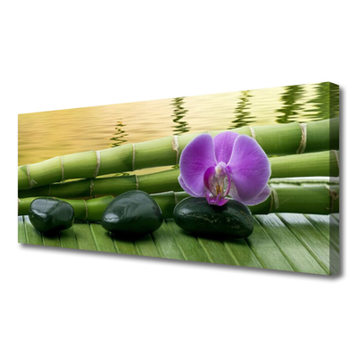 Bild på canvas Blomstenar Bambu Natur