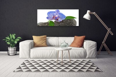 Bild på canvas Blomma Växt Natur