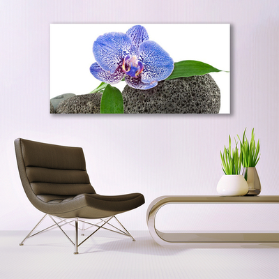 Bild på canvas Blomma Växt Natur