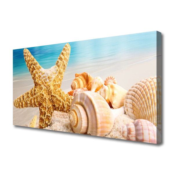 Fototryck canvas Sjöstjärna Shell Art