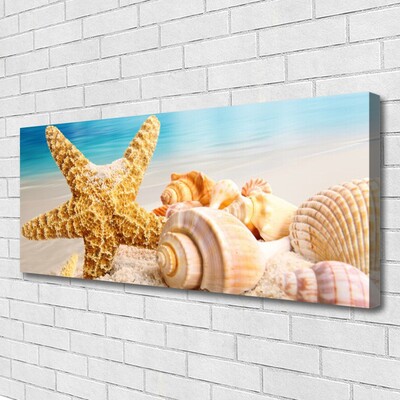 Fototryck canvas Sjöstjärna Shell Art