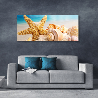 Fototryck canvas Sjöstjärna Shell Art