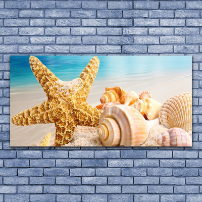 Fototryck canvas Sjöstjärna Shell Art