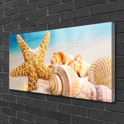 Fototryck canvas Sjöstjärna Shell Art