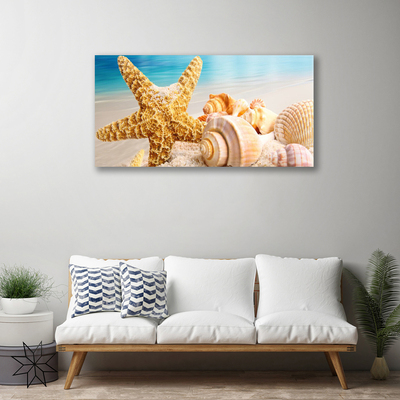 Fototryck canvas Sjöstjärna Shell Art