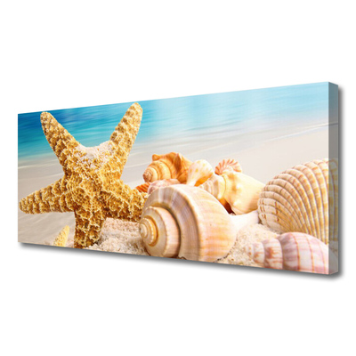 Fototryck canvas Sjöstjärna Shell Art