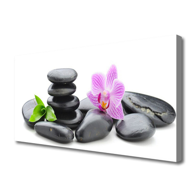 Canvas bild Blomma Zen stenar