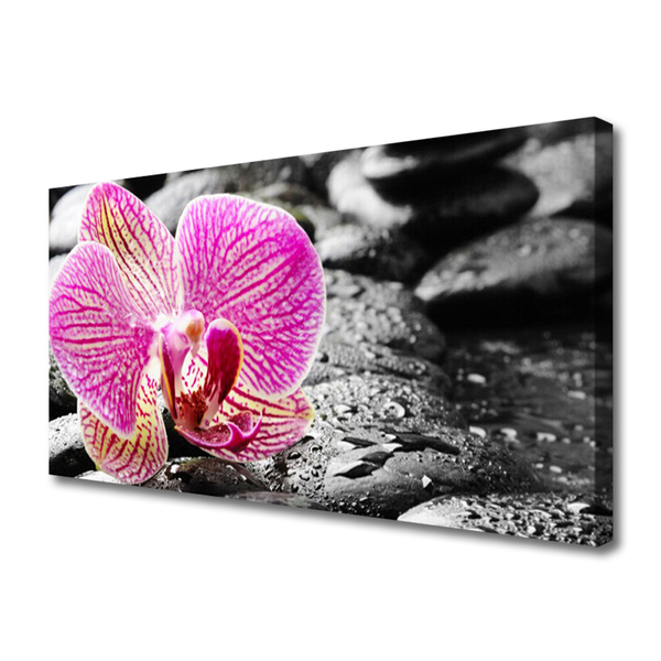 Fototryck canvas Flower Stones Orchid