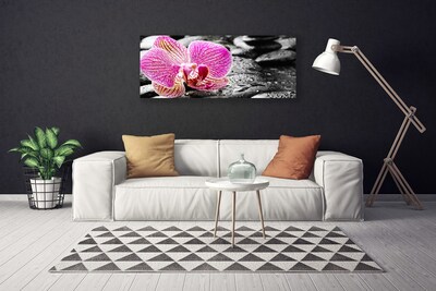 Fototryck canvas Flower Stones Orchid