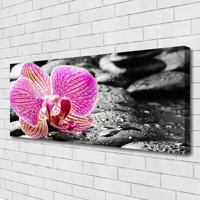 Fototryck canvas Flower Stones Orchid